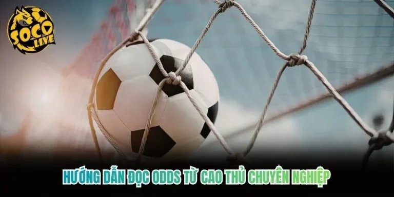 Hướng Dẫn Đọc Odds Từ Cao Thủ Chuyên Nghiệp