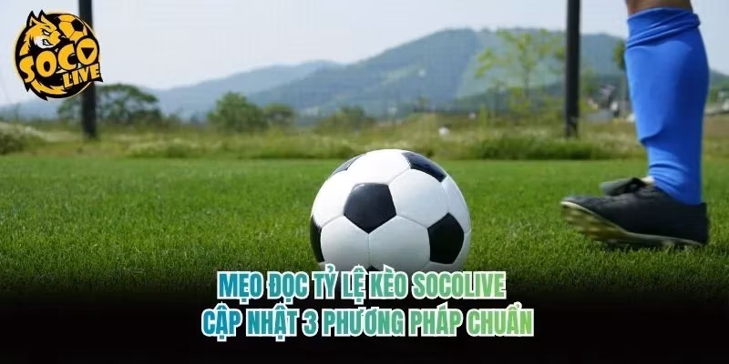 Mẹo Đọc Tỷ Lệ Kèo Socolive – Cập Nhật 3 Phương Pháp Chuẩn