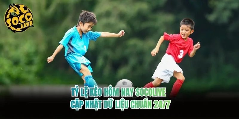 Tỷ Lệ Kèo Hôm Nay Socolive - Cập Nhật Dữ Liệu Chuẩn 24/7